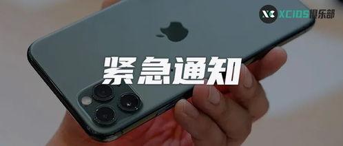 苹果视频电话,跨越时空的亲密互动新体验