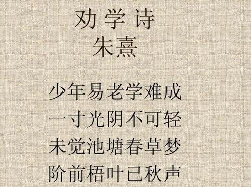 劝学古诗视频,传承智慧，启迪人生