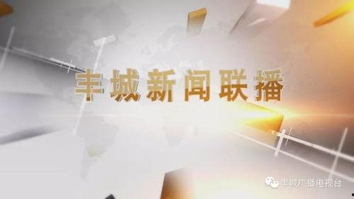 丰城新闻视频,聚焦热点事件，呈现最新动态
