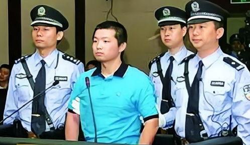 杨佳袭警案视频,真相与反思