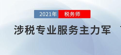 税务师视频,税收政策与实务操作全解析