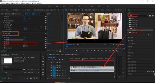 pr去掉原视频字幕,[原视频标题]深度解析