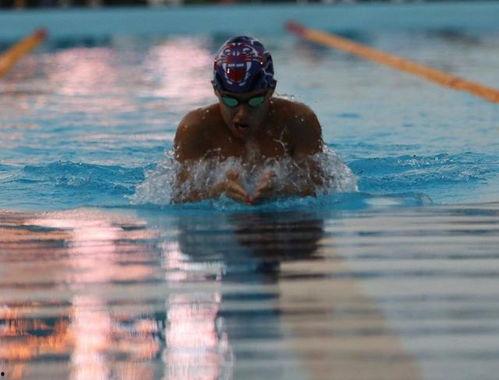 游泳比赛视频,揭秘游泳比赛精彩瞬间