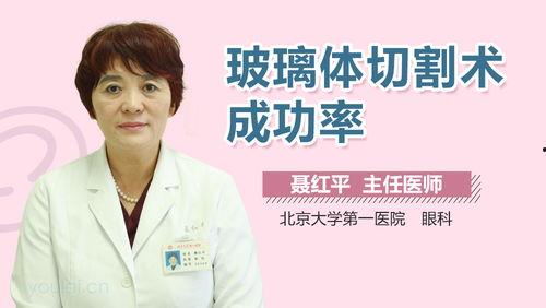 玻璃体切割手术视频,技术革新与视觉康复之旅