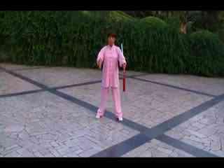 24式太极剑视频