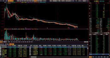 股票老左视频,实战解析与策略分享